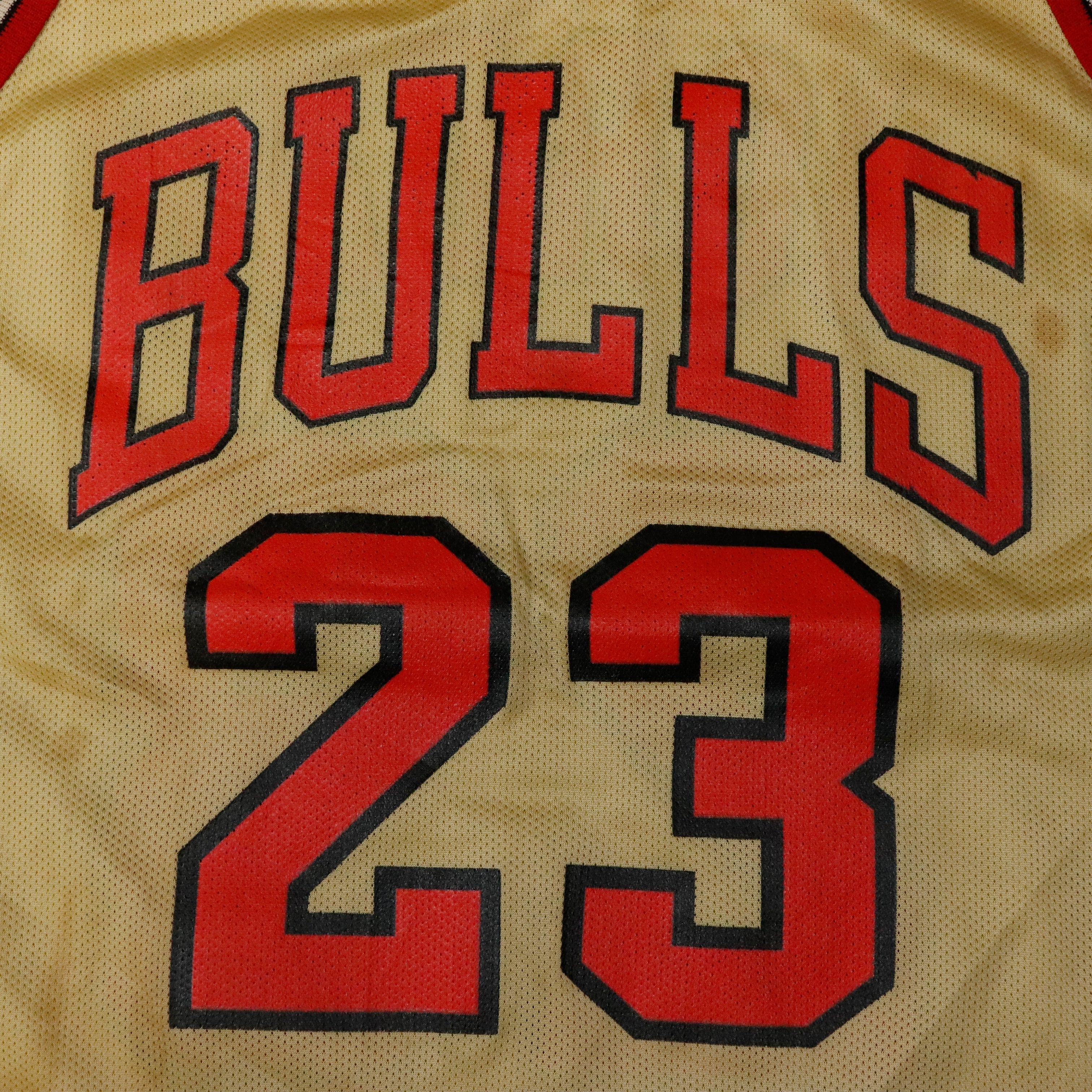 Vintage Chicago Bulls NBA Champion Mesh Michael Jordan Jersey Size N/A