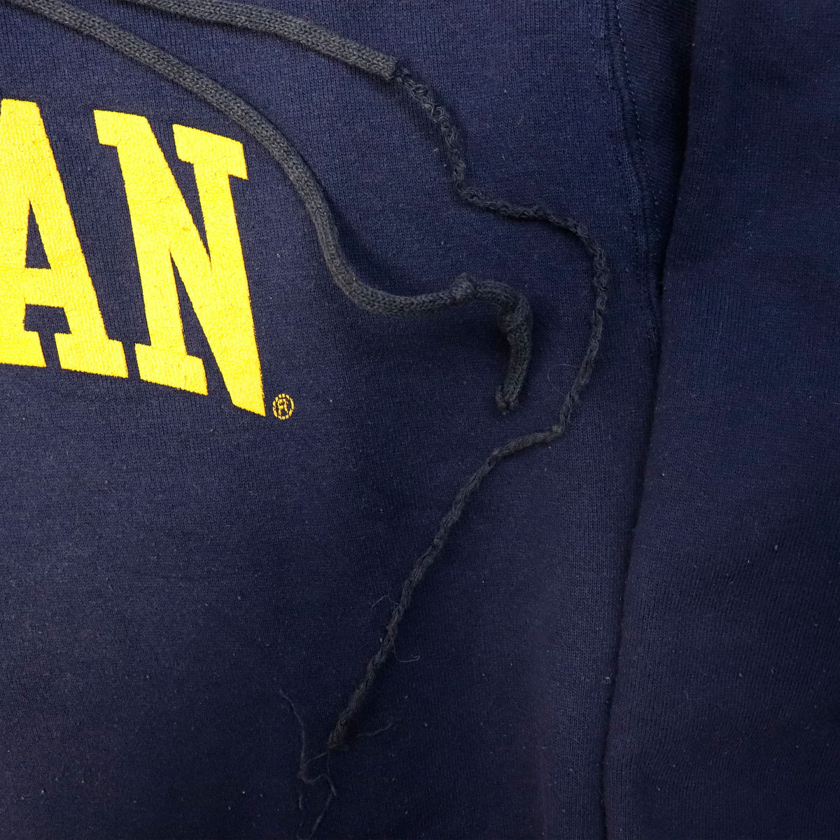 Vintage Russell Athletic Michigan Graphic Hoodie Size L