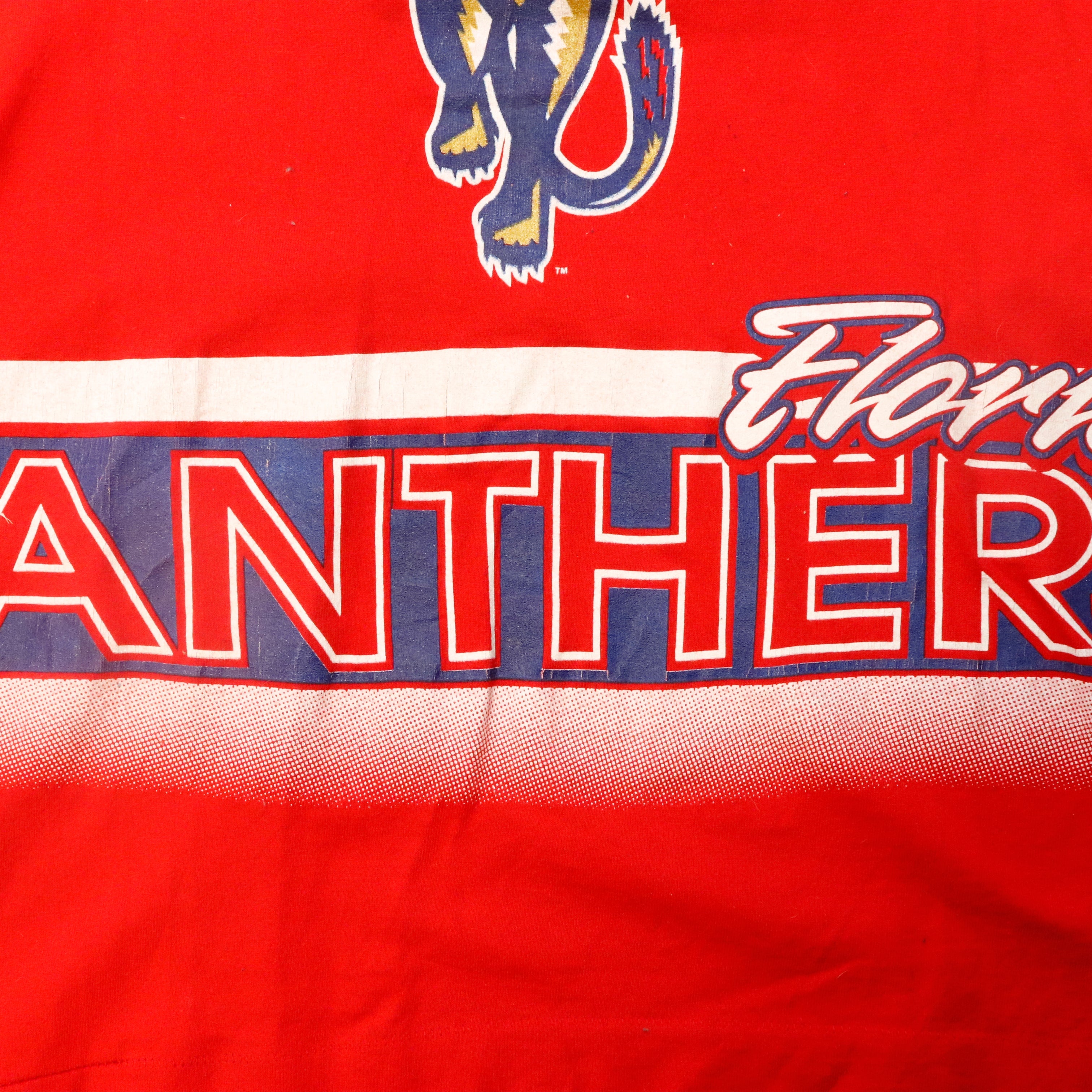 Vintage Salem Sportswear Florida Panthers Graphic T-Shirt Size XL AOP