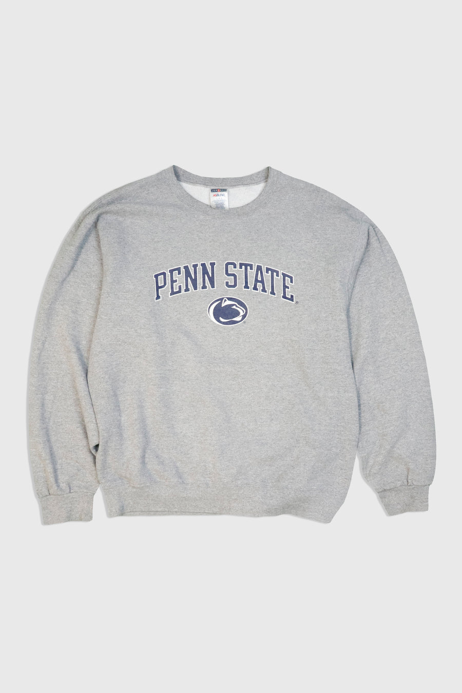 Vintage NFL Penn State Lions Sweatshirt
