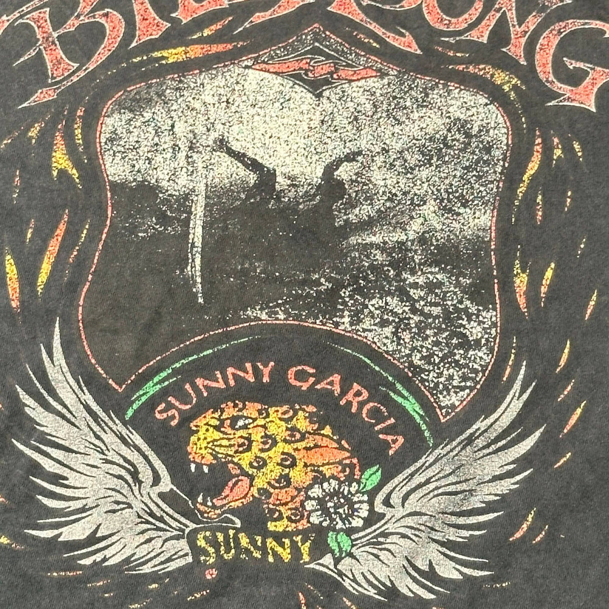 Vintage Billabong Sunny Garcia Graphic T-Shirt Size Large FAIF.CA 